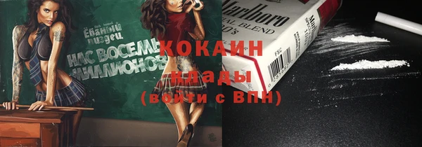 твердый Горняк