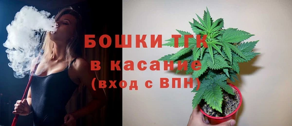 гашик Горнозаводск