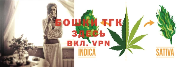 твердый Горняк