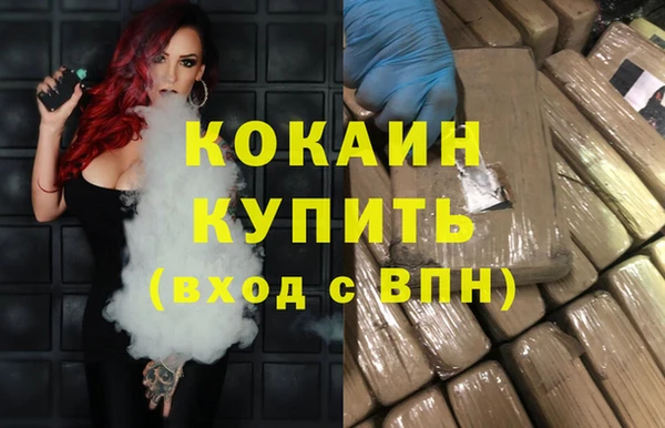 твердый Горняк