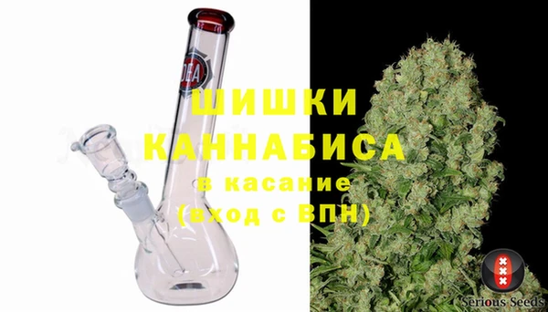 твердый Горняк