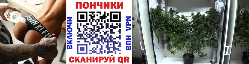 Каннабис OG Kush  Купить закладки  Богородск 